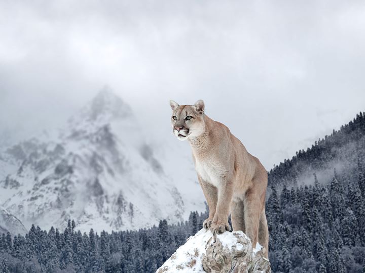 Sustainability and Stewardship Report