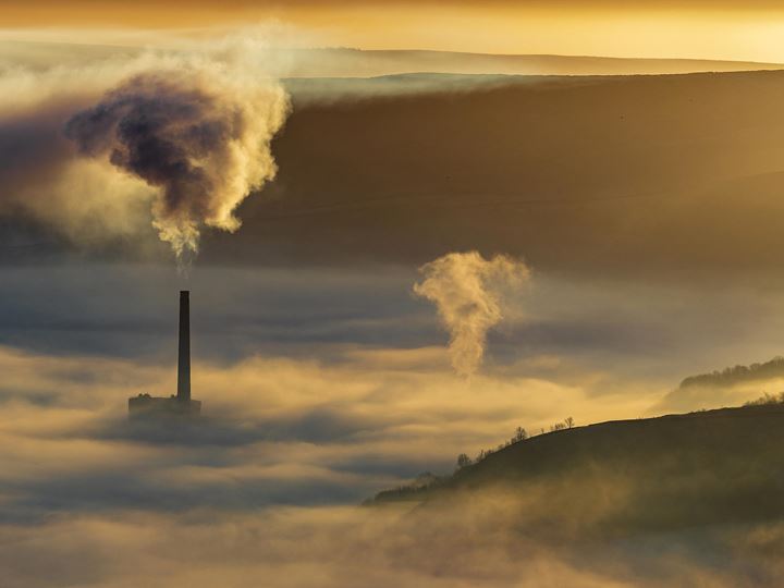 Planetary Pulse 2022