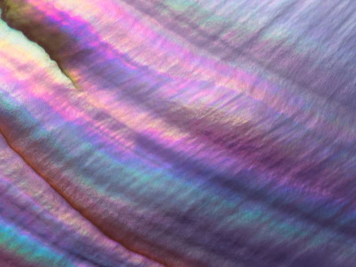 Beware the crowded trade