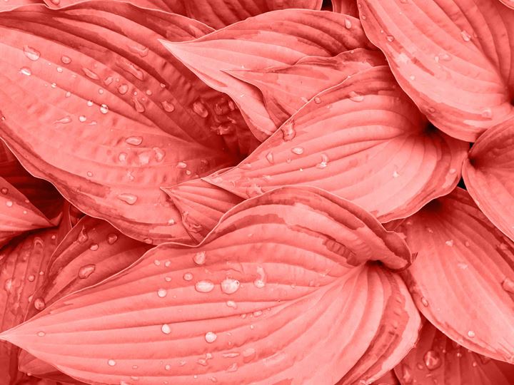 An attractive alternative to the concentrated trade