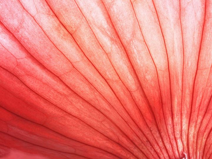 Fundamental strength should be rewarded in 2026