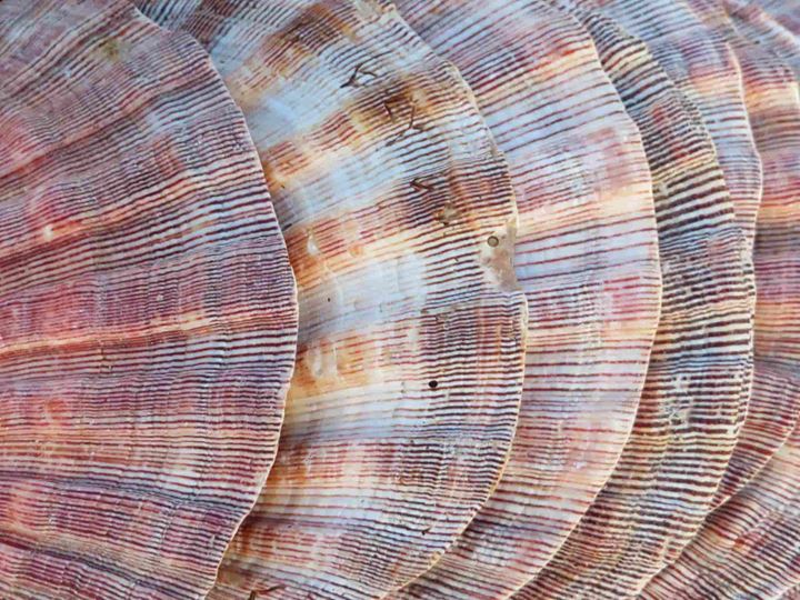 Europe is finally positioned for growth